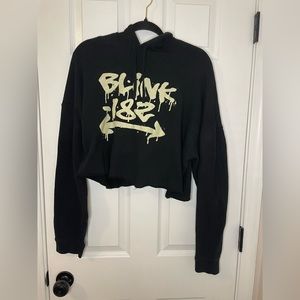 Vintage Cropped BLINK 182 Merch Cropped Hoodie